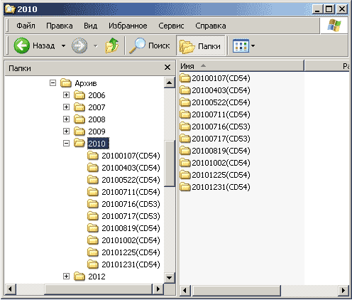Пример устройства основной папки с раскрытым каталогом «2010»