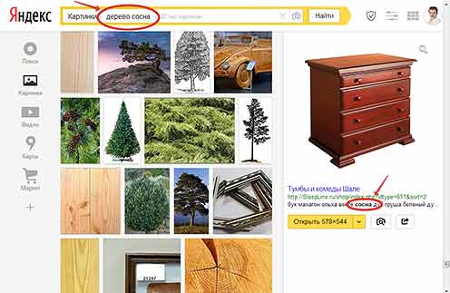 Пример того, как поисковая система может найти в Интернете фотографии, которые нам не нужны