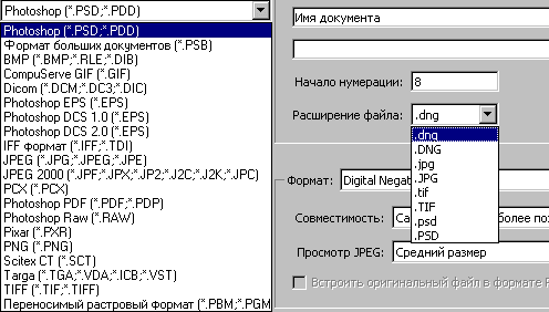 Графические форматы, в том числе и PSD с которыми можно работать в программе Adobe Photoshop слева и в Camera RAW справа, а в Bridge их удобно просматривать
